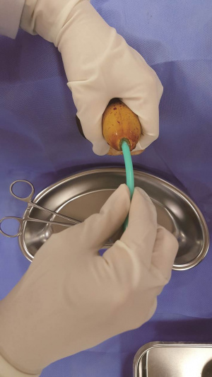 실습학생지침서 그림14.jpg