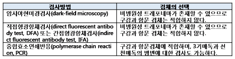 파일:Syphilis 3.2.png