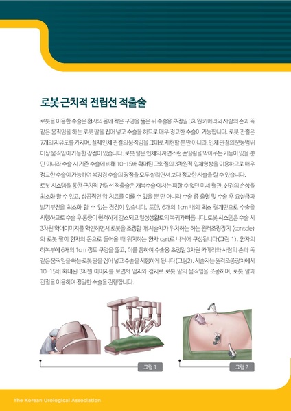 파일:Prostate cance RRP.pdf