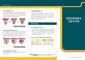 전립선수술적치료.pdf