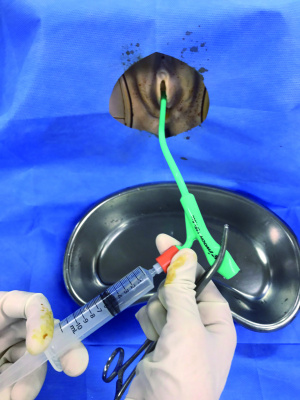 실습학생지침서 그림36.jpg