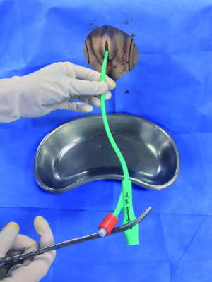 실습학생지침서 그림37.jpg