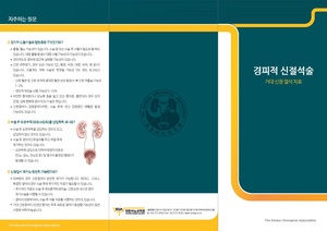 경피적 신절석술.pdf