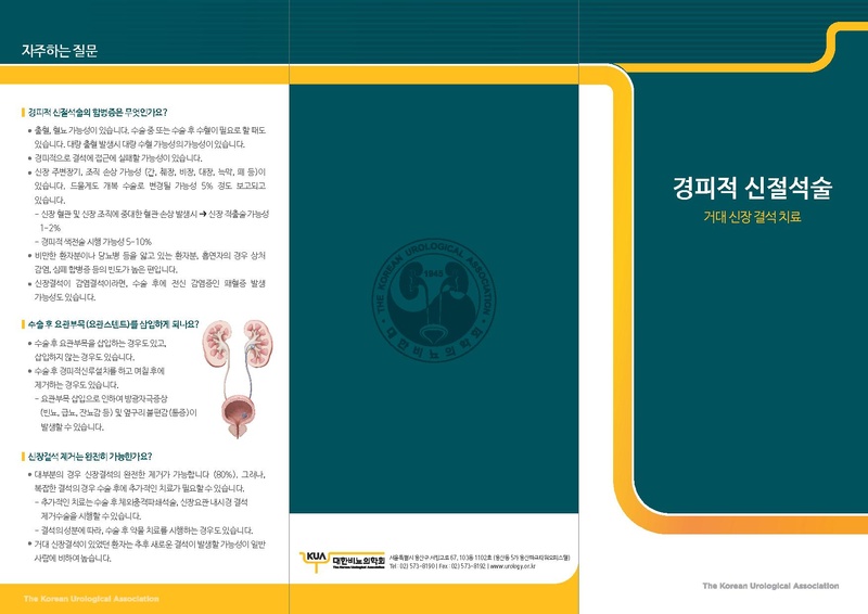 파일:경피적 신절석술.pdf