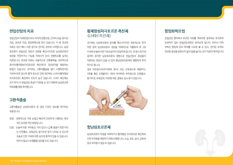 파일:전립선암의 약물 치료.pdf