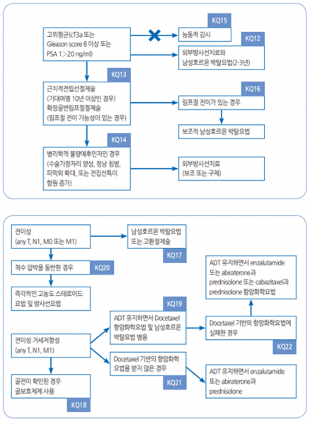 파일:핵심질문별치료요약2.png