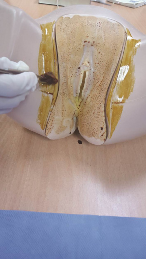 실습학생지침서 그림31.jpg