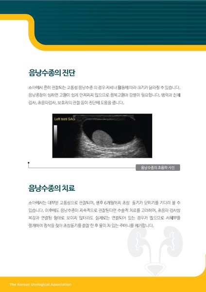 파일:소아 음낭수종.pdf
