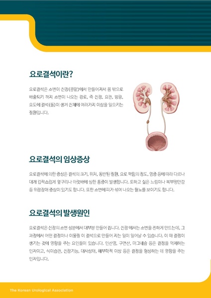 파일:요로결석의 식이요법.pdf