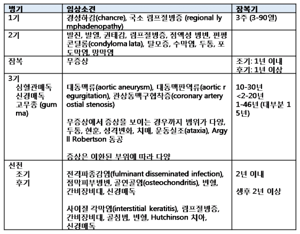 Syphilis 1.3.2.png