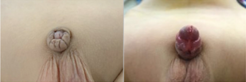 잠복음경2.png